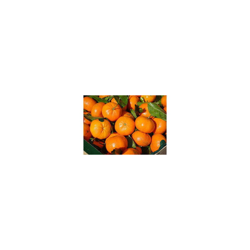 Mandarina 500 gr